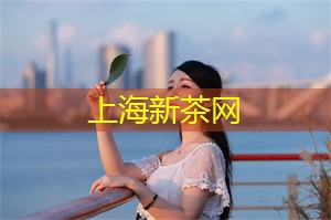 酒店健身领域在上海的发展